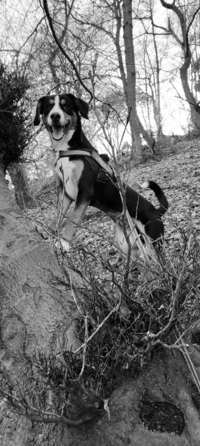 Foto-Challenge 76: Foto in Schwarz-Weiss-Beitrag-Bild