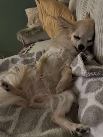 Senioren-Beitrag-Bild