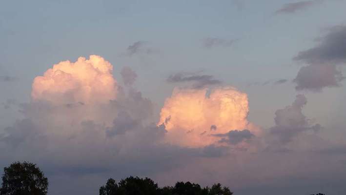 Die wunderschöne Welt mit Hund.-Beitrag-Bild