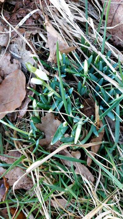 Die wunderschöne Welt mit Hund.-Beitrag-Bild