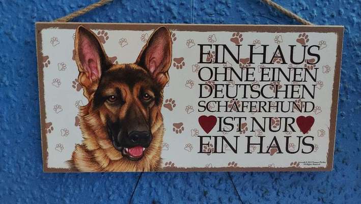 Schäferhund-Fans?-Beitrag-Bild