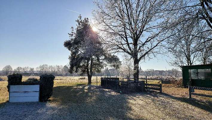 Die wunderschöne Welt mit Hund.-Beitrag-Bild