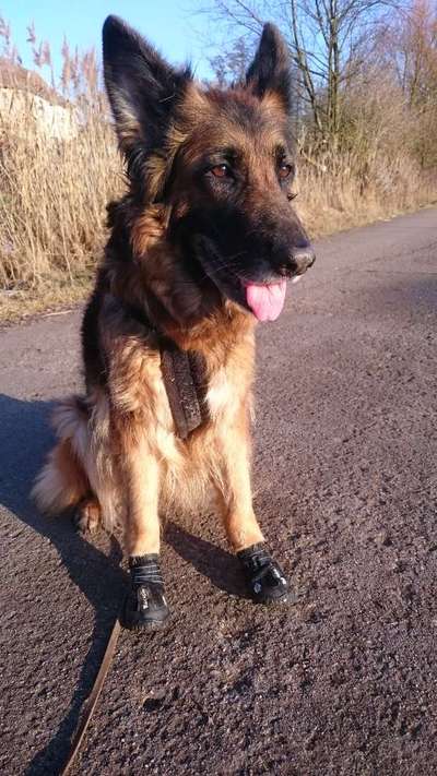 Wehwehchen einbinden-Beitrag-Bild