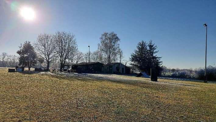 Die wunderschöne Welt mit Hund.-Beitrag-Bild