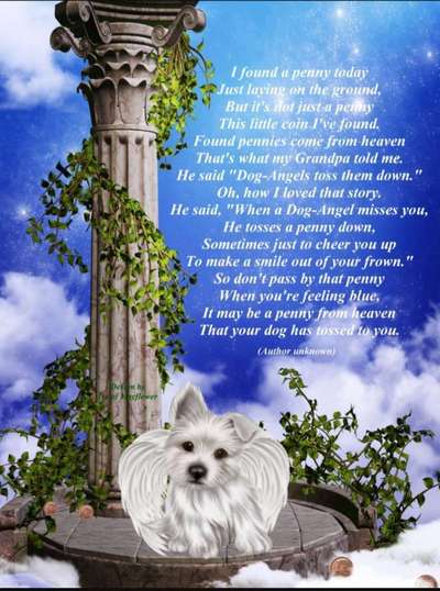 Wunderschönes Gedicht über die Regenbogenbrücke. Aus Dogorama mit Erlaubnis von Wolfgang.-Beitrag-Bild