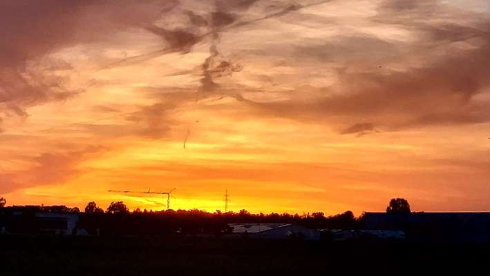 Die wunderschöne Welt mit Hund.-Beitrag-Bild