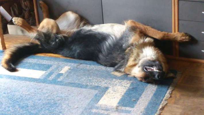 Die unbequemsten und lustigsten Schlafpositionen-Beitrag-Bild