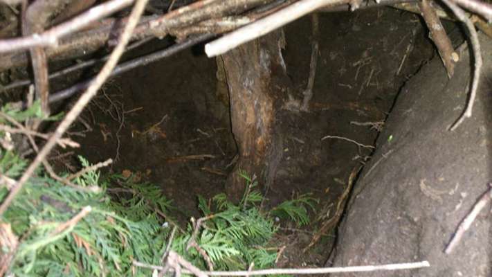 Zeig mir, dass du mit einem hund zusammenlebst....-Beitrag-Bild