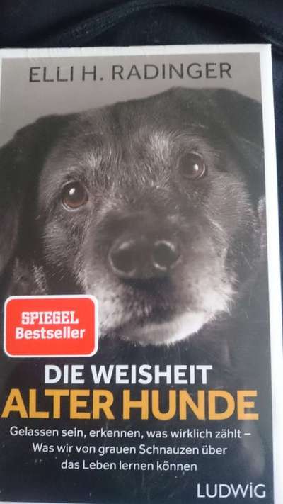 Hunde-Fachliteratur-Beitrag-Bild