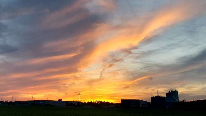 Die wunderschöne Welt mit Hund.-Beitrag-Bild