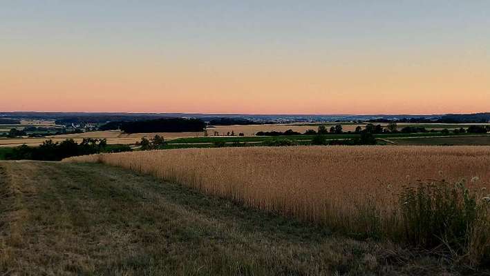 Die wunderschöne Welt mit Hund.-Beitrag-Bild