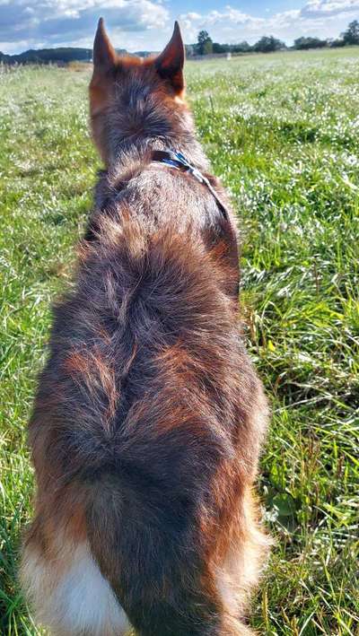 Fotochallenge Nr 50 Vom Winde verweht-Beitrag-Bild