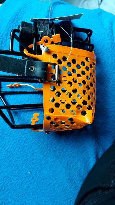 Wie sitzt mein Maulkorb / Maulkorb-Beratung-Beitrag-Bild