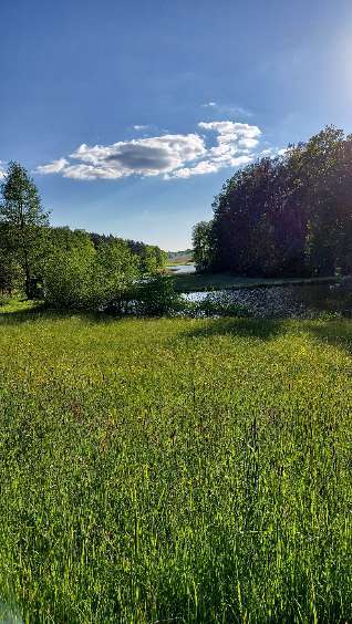Die wunderschöne Welt mit Hund.-Beitrag-Bild