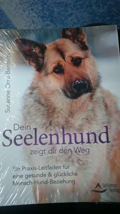Hunde-Fachliteratur-Beitrag-Bild