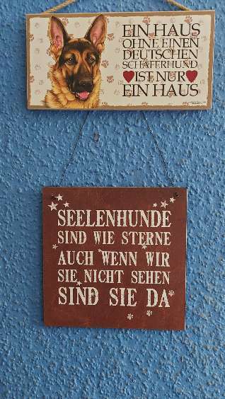 Schöne Hunde - Sprüche !-Beitrag-Bild
