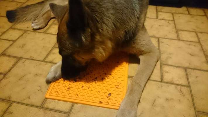 Kong Alternativen - Tipps gesucht-Beitrag-Bild