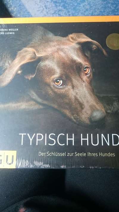 Hunde-Fachliteratur-Beitrag-Bild