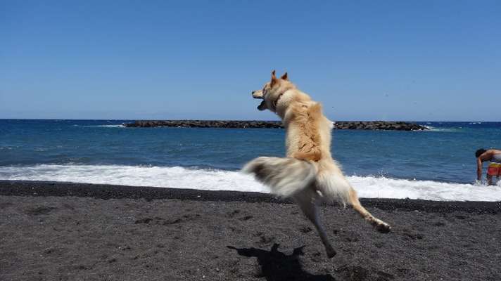 Fotochallenge Nr. 52 „Spring!“-Beitrag-Bild