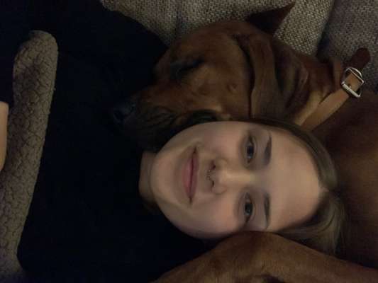 Rhodesian Ridgeback-Beitrag-Bild