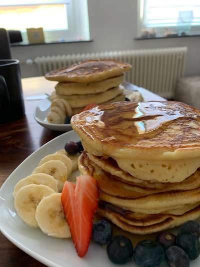 Rhodesian Ridgeback-Beitrag-Bild