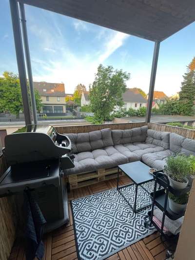 Rhodesian Ridgeback-Beitrag-Bild