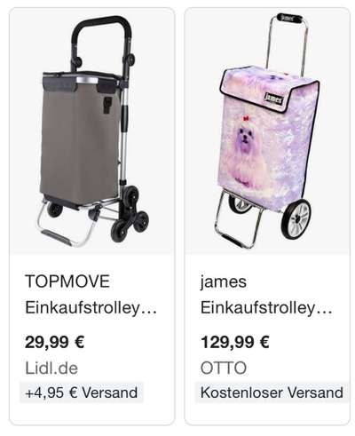 Rhodesian Ridgeback-Beitrag-Bild