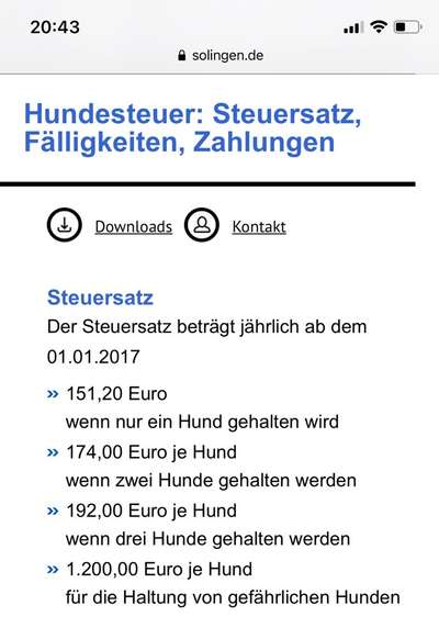 Rhodesian Ridgeback-Beitrag-Bild