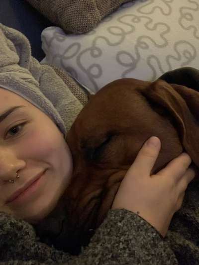 Rhodesian Ridgeback-Beitrag-Bild