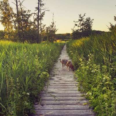 Fotochallenge Nr.100 Urlaubsimpressionen-Beitrag-Bild