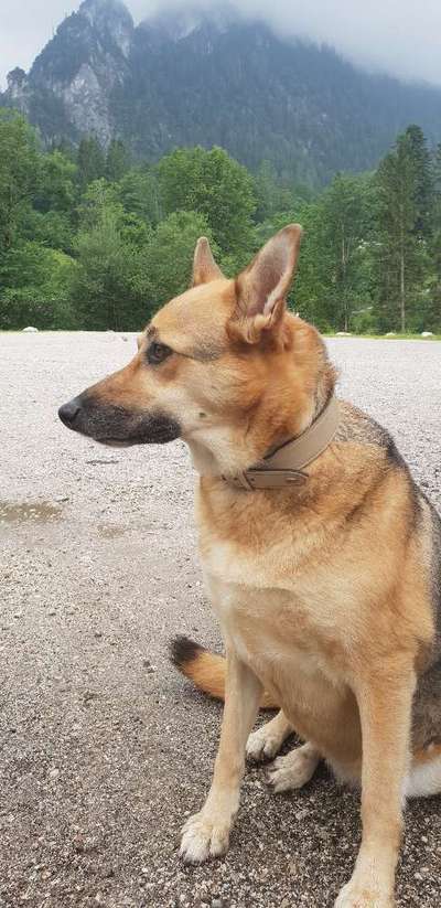 Bayrische Seen-Beitrag-Bild