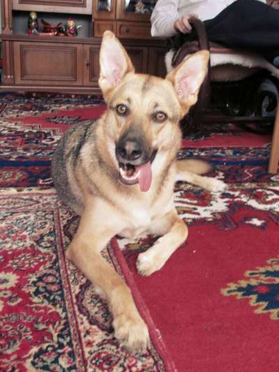 Handyfoto challenge Nr. 13: Waschlappen raus!-Beitrag-Bild