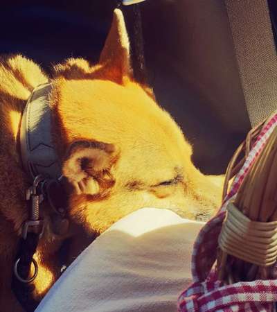 Fotochallenge 101:
On Tour-Beitrag-Bild