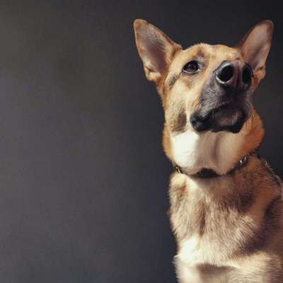 Zeigt eure Portraits-Beitrag-Bild