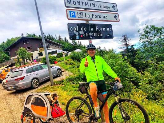 Lastenfahrrad zum Hundetransport-Beitrag-Bild