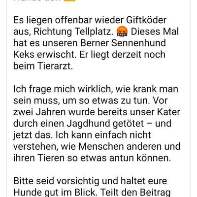 Giftköder-Giftköder-Bild