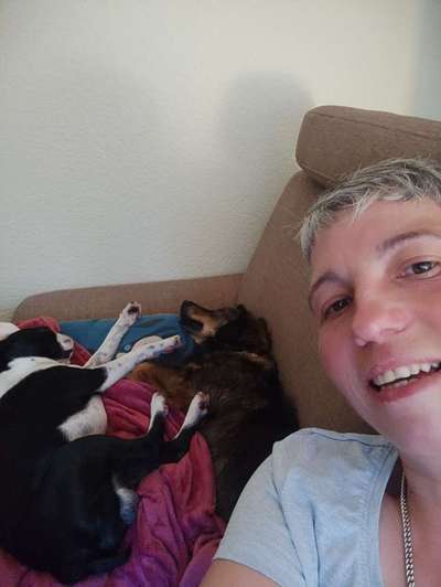 Boston Terrier Liebhaber❤️-Beitrag-Bild