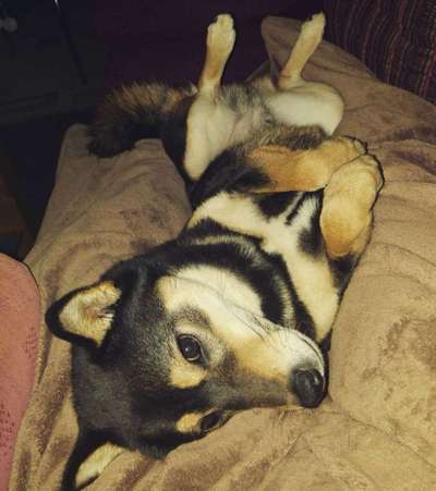 Schlafposition-Beitrag-Bild