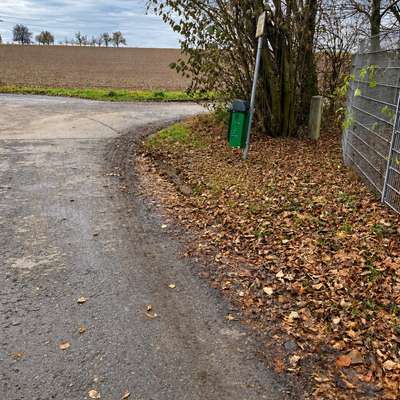 Hundeauslaufgebiet-Pflugfelden - Felder-Bild
