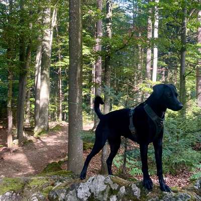 Kahle Stellen-Beitrag-Bild