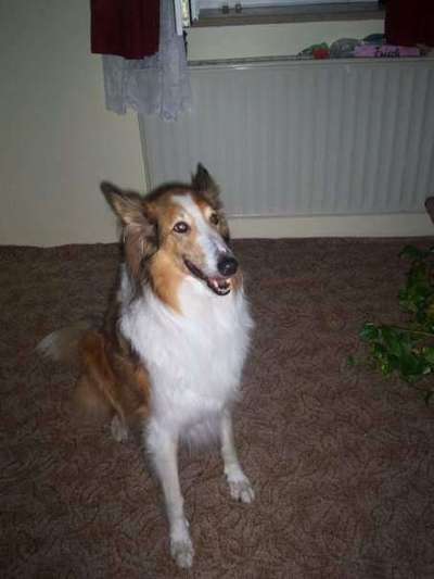 Fotochallenge Nr. 56 - geliebte Senioren-Beitrag-Bild