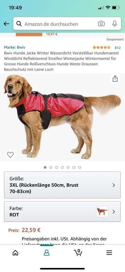 Wasserdichter Hundemantel-Beitrag-Bild