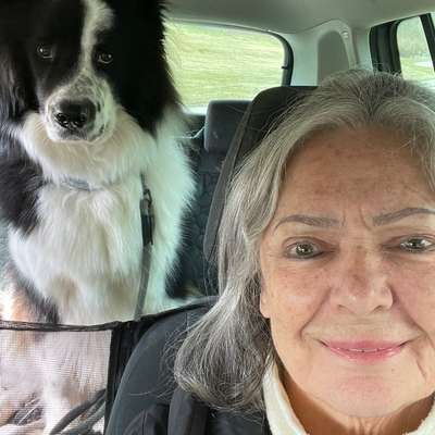 Hundetreffen-Nette Menschen mit netten Hunde zum spazieren/spielen gesucht…gerne a.Brombachsee. Oder egal wo.-Bild