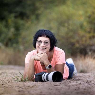 Tierfotografen-BilderRausch Tierfotografie -Bild