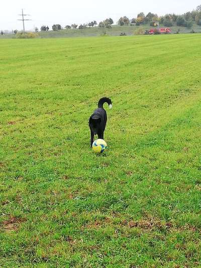 Länge der Spaziergänge-Beitrag-Bild