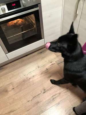 Lieblings Schnappschuss?-Beitrag-Bild