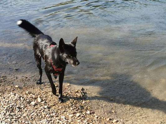 Foto Challenge - BEENDET - bitte aktuelle Challenge nutzen-Beitrag-Bild