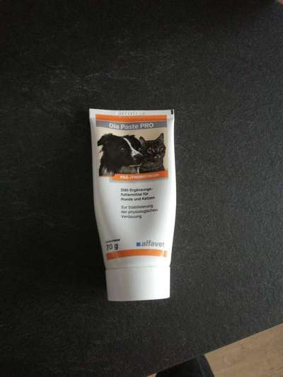 Futter Unverträglichkeit-Beitrag-Bild