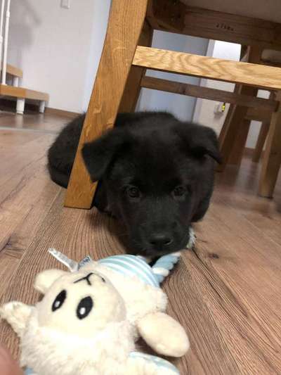 Vorher.... Nachher-Beitrag-Bild