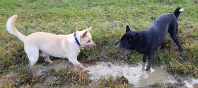 Lieblings Schnappschuss?-Beitrag-Bild